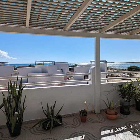 Apartmán Tropical Leaves Sea View Penthouse Ca Greta 2 Floor Sal Rei Exteriér fotografie