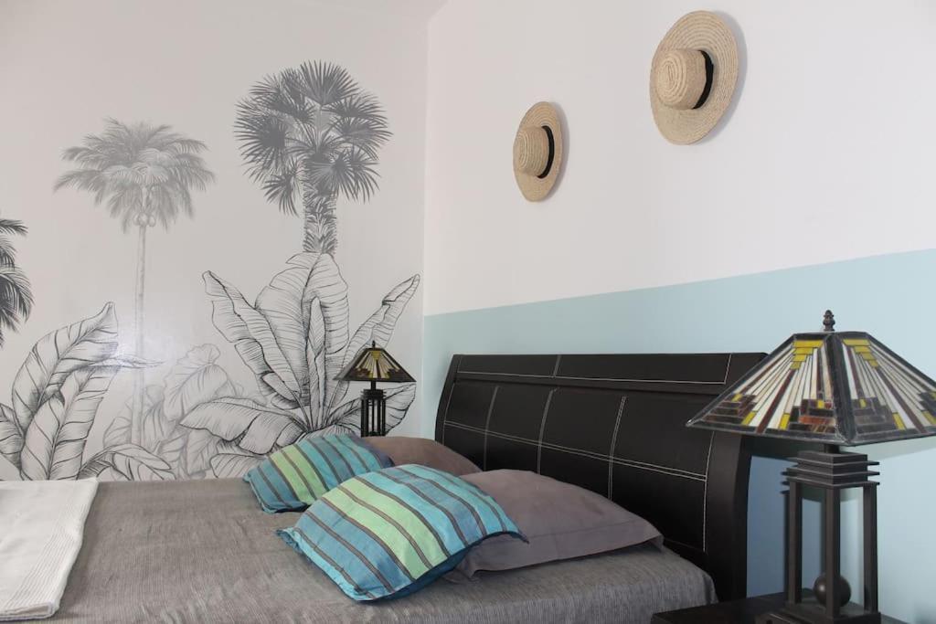 Apartmán Tropical Leaves Sea View Penthouse Ca Greta 2 Floor Sal Rei Exteriér fotografie